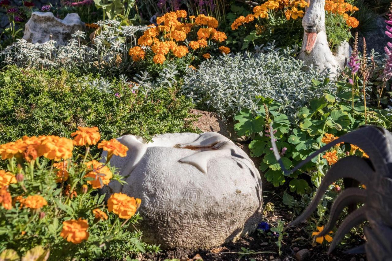 Tonigbauernhof Blumenwiese Schenna Exterior photo